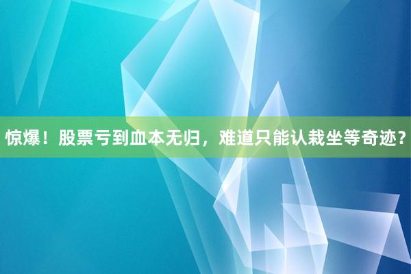 惊爆！股票亏到血本无归，难道只能认栽坐等奇迹？