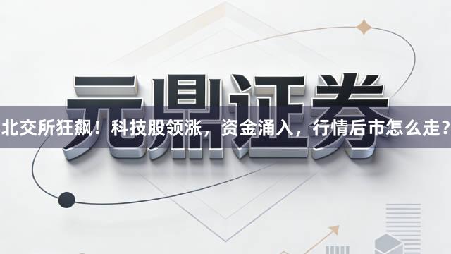 北交所狂飙！科技股领涨，资金涌入，行情后市怎么走？