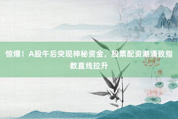 惊爆！A股午后突现神秘资金，股票配资潮涌致指数直线拉升